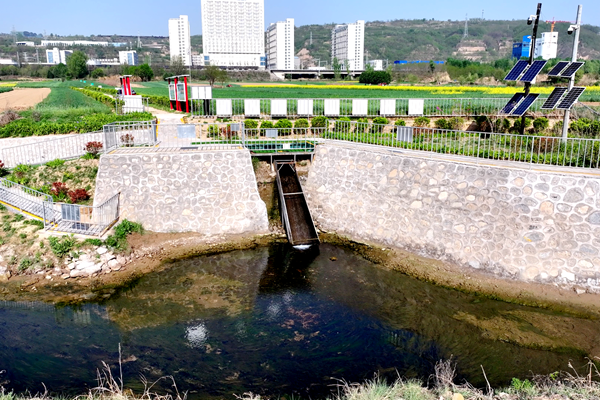 1733815286345095.png 圖1_副本.png