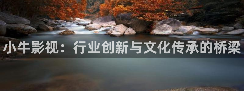 沂水麥田影城：小牛影視：行業(yè)創(chuàng)新與文化傳承的橋梁
