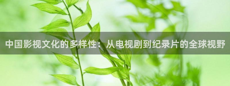 麥田影視免費高清觀看電視劇